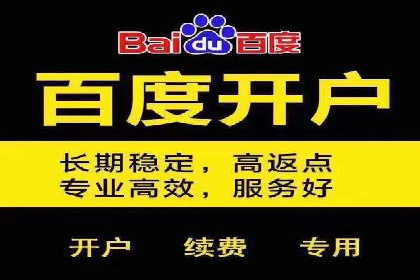 某公司SEM优化成功案例：从零到一的流量增长